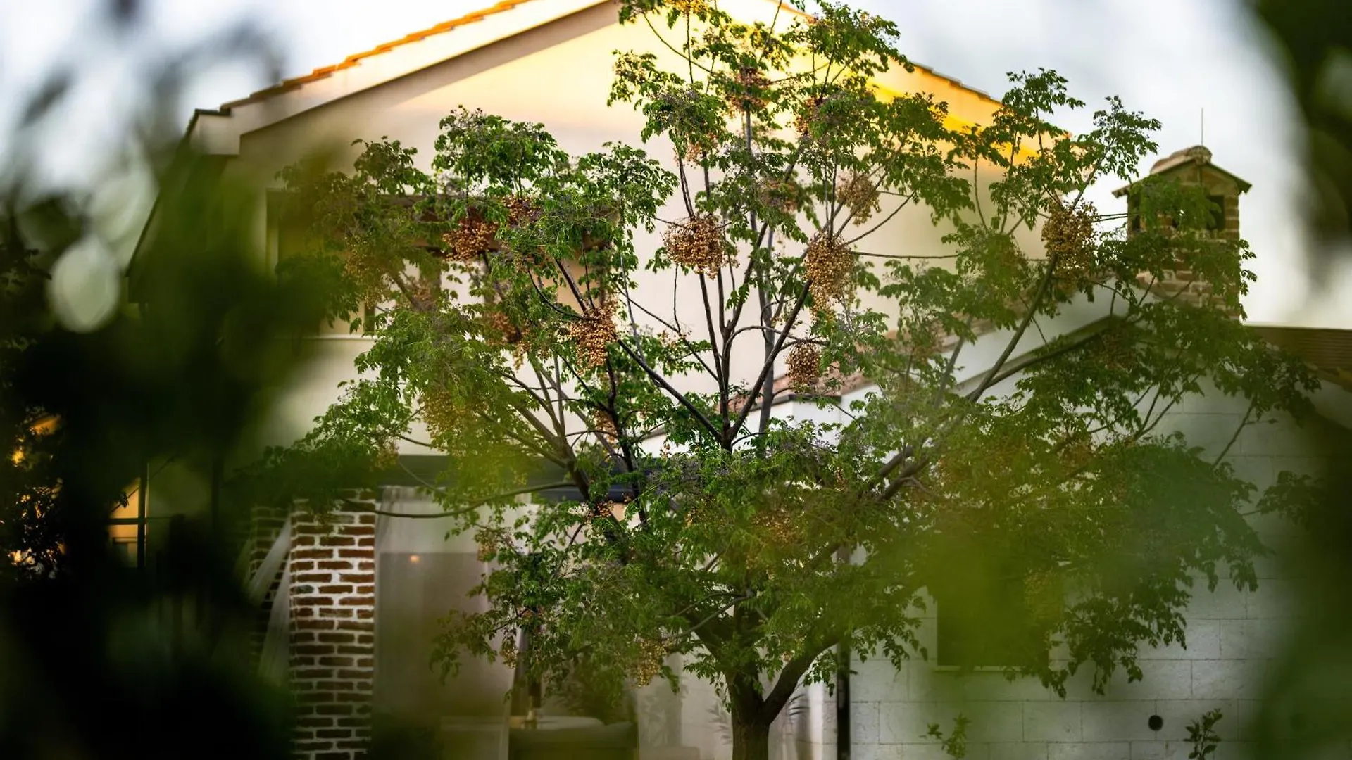 Vila House 