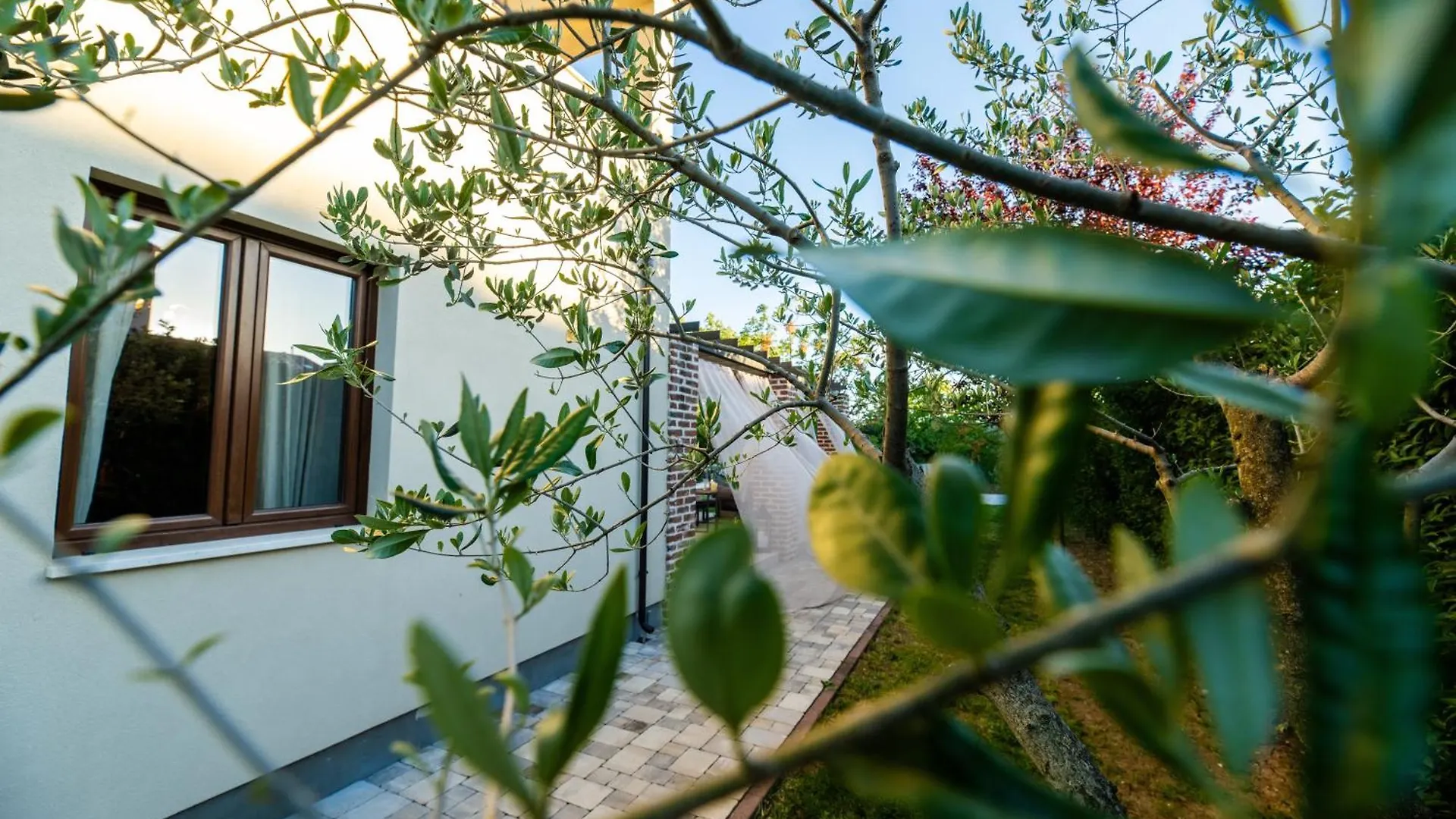 Vila House 